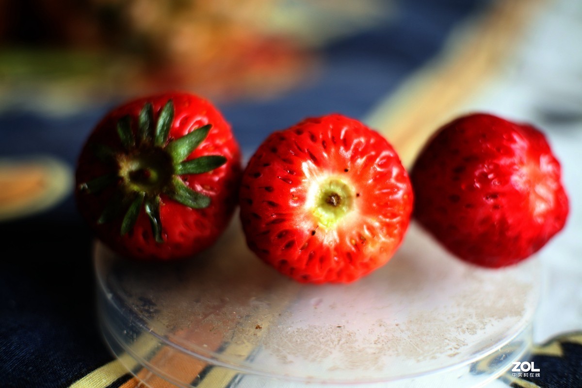 七工匠25mmF1.8 EOS M6 宅家练手