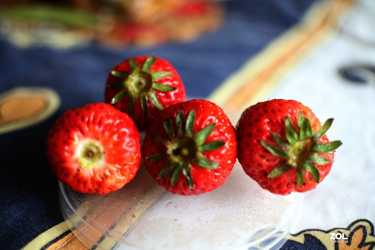 七工匠25mmF1.8 EOS M6 宅家练手