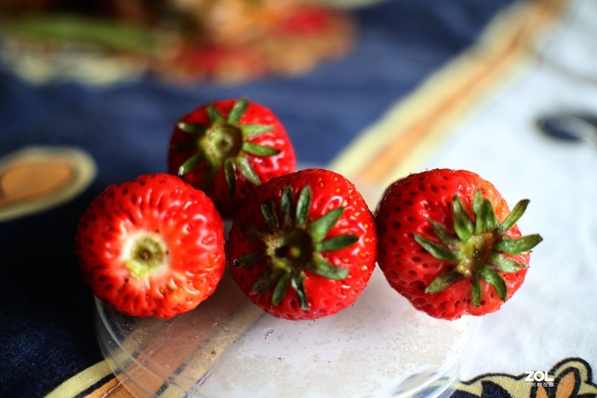 七工匠25mmF1.8 EOS M6 宅家练手