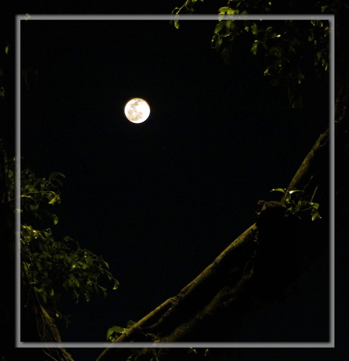 日月争辉（外二幅）