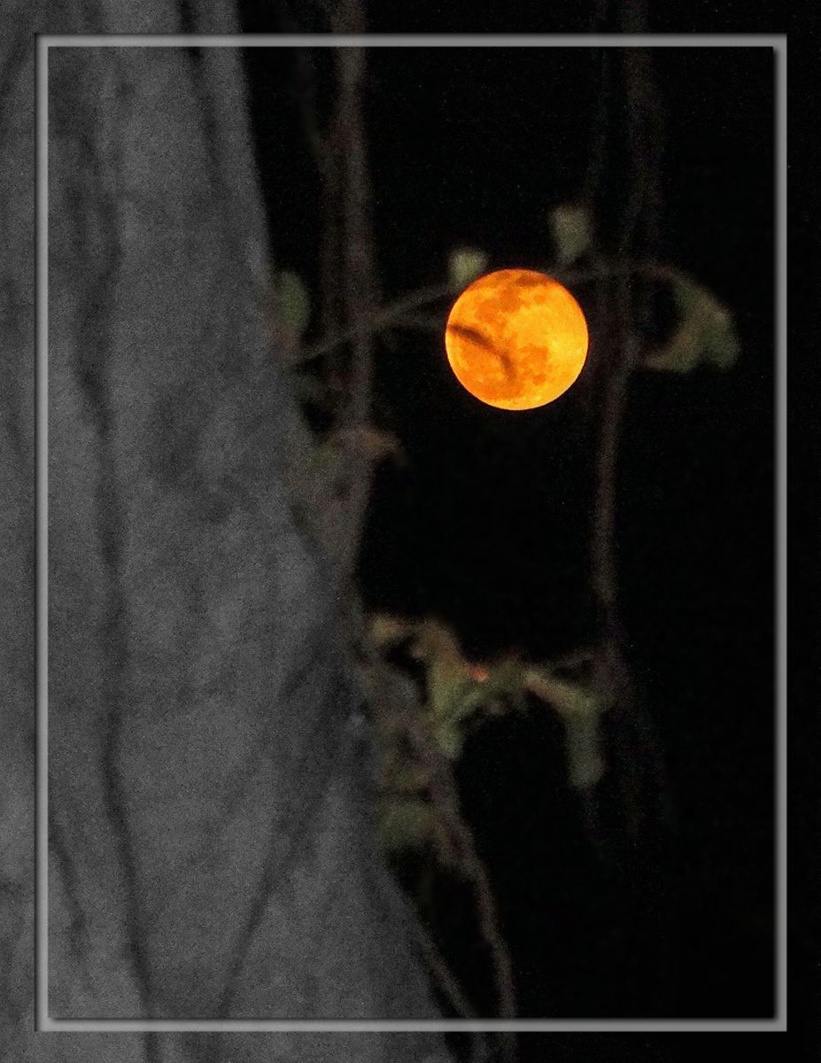 日月争辉（外二幅）