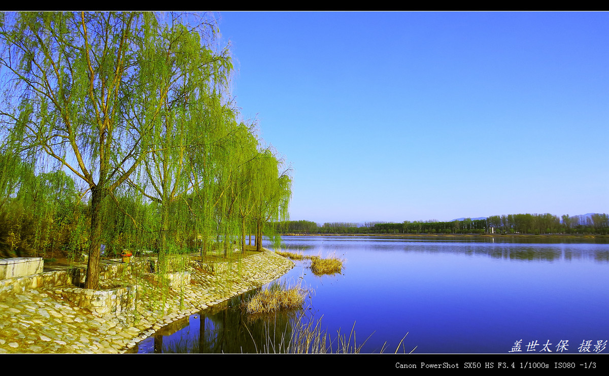 #版主坐堂#牡丹江星空(中国)4月份精华精选