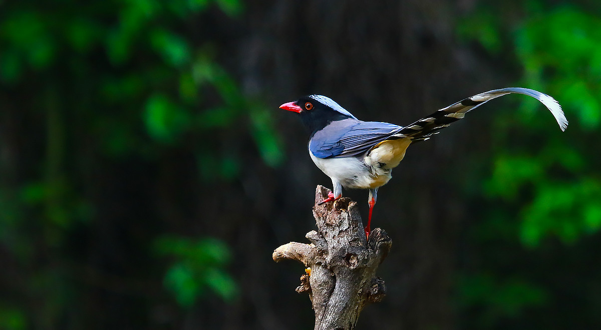 #版主坐堂#牡丹江星空(中国)4月份精华精选
