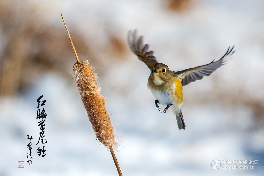 #版主坐堂#牡丹江星空(中国)4月份精华精选