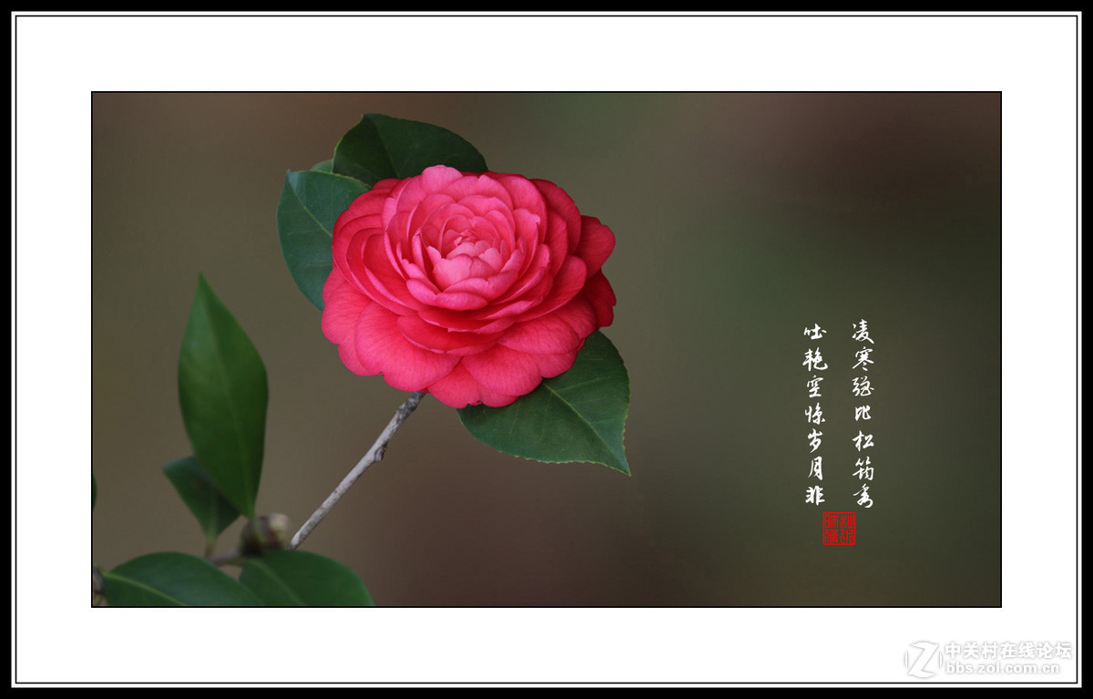 #版主坐堂#牡丹江星空(中国)4月份精华精选