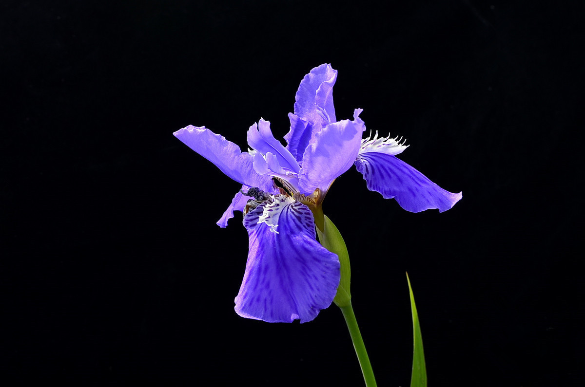 #版主坐堂#牡丹江星空(中国)4月份精华精选