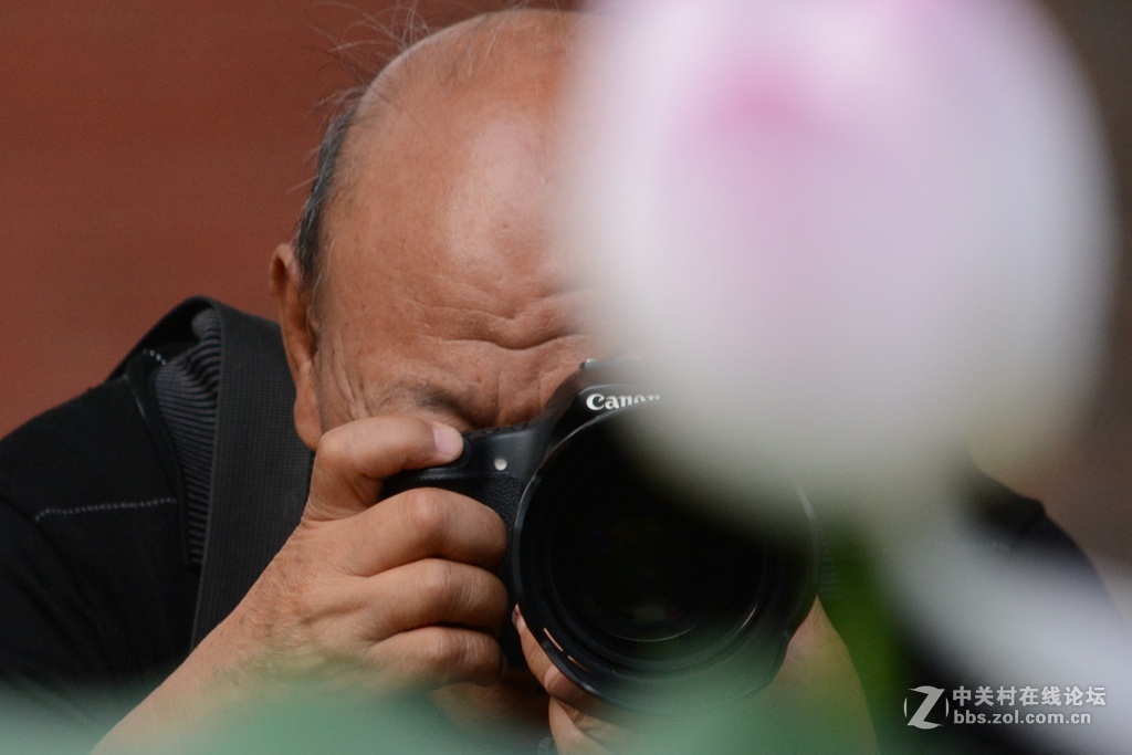 尼康7100  55——300六月拍荷花