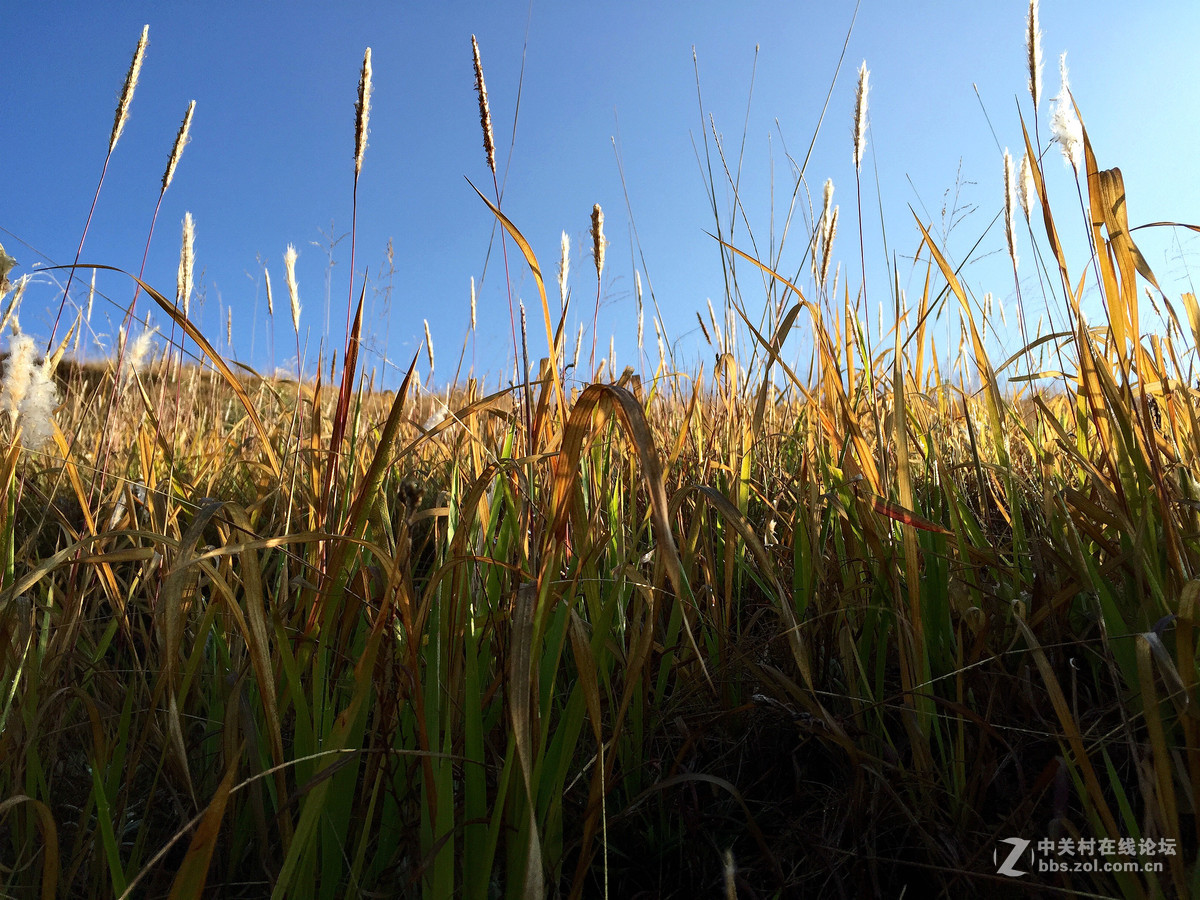 iphone6拍摄的一组风光小品