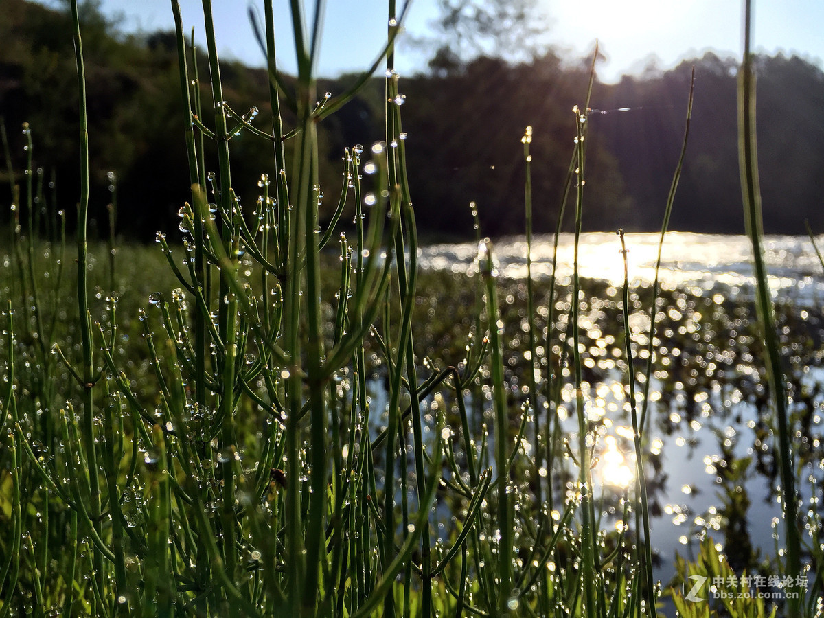 iphone6拍摄的一组风光小品