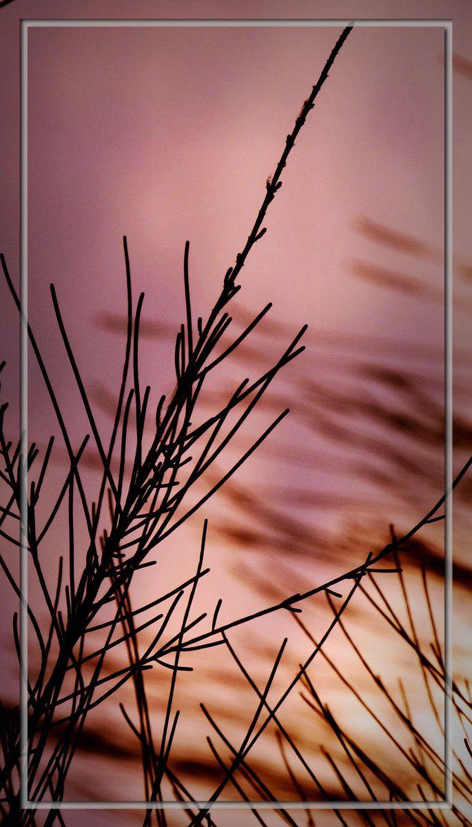 日月争辉（外二幅）