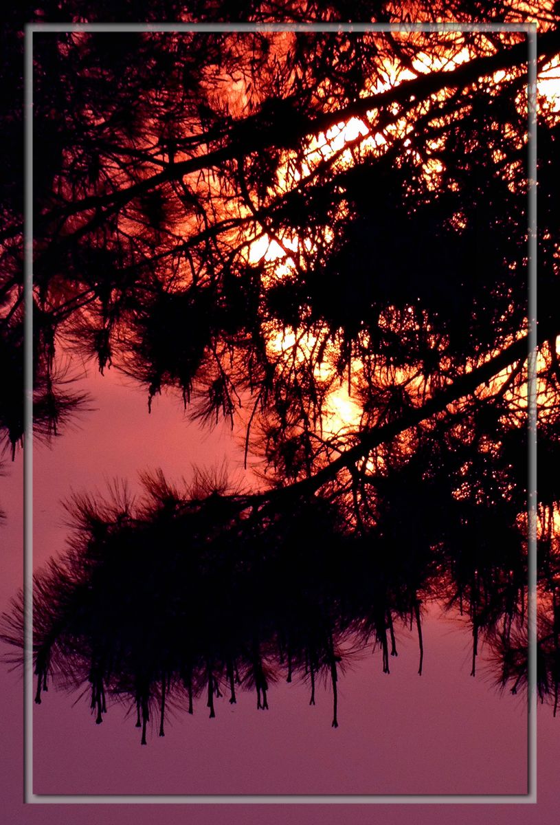 日月争辉（外二幅）