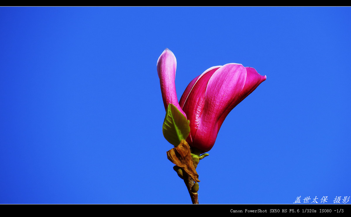 #版主坐堂#牡丹江星空(中国)4月份精华精选