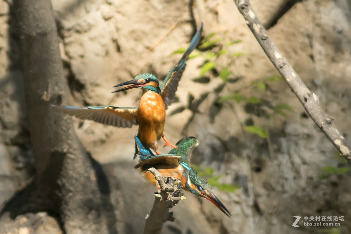 #版主坐堂#牡丹江星空(中国)4月份精华精选