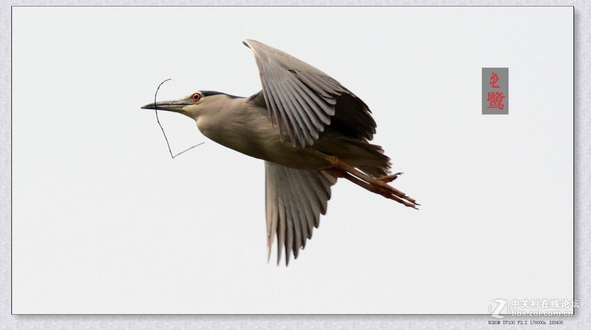 #版主坐堂#牡丹江星空(中国)4月份精华精选