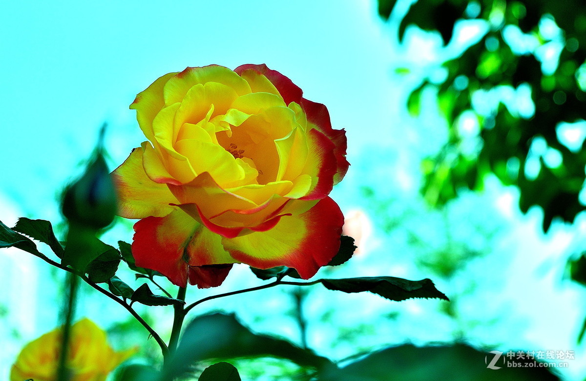 #版主坐堂#牡丹江星空(中国)4月份精华精选