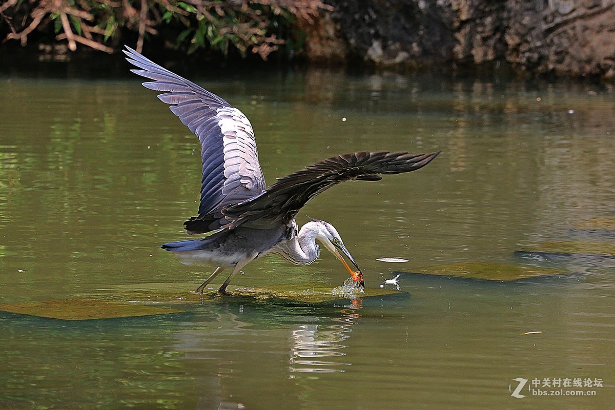 #版主坐堂#牡丹江星空(中国)4月份精华精选
