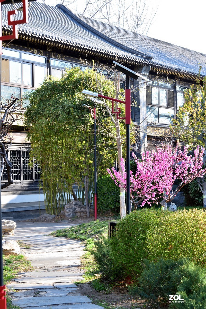 曙光防灾教育公园 的春花