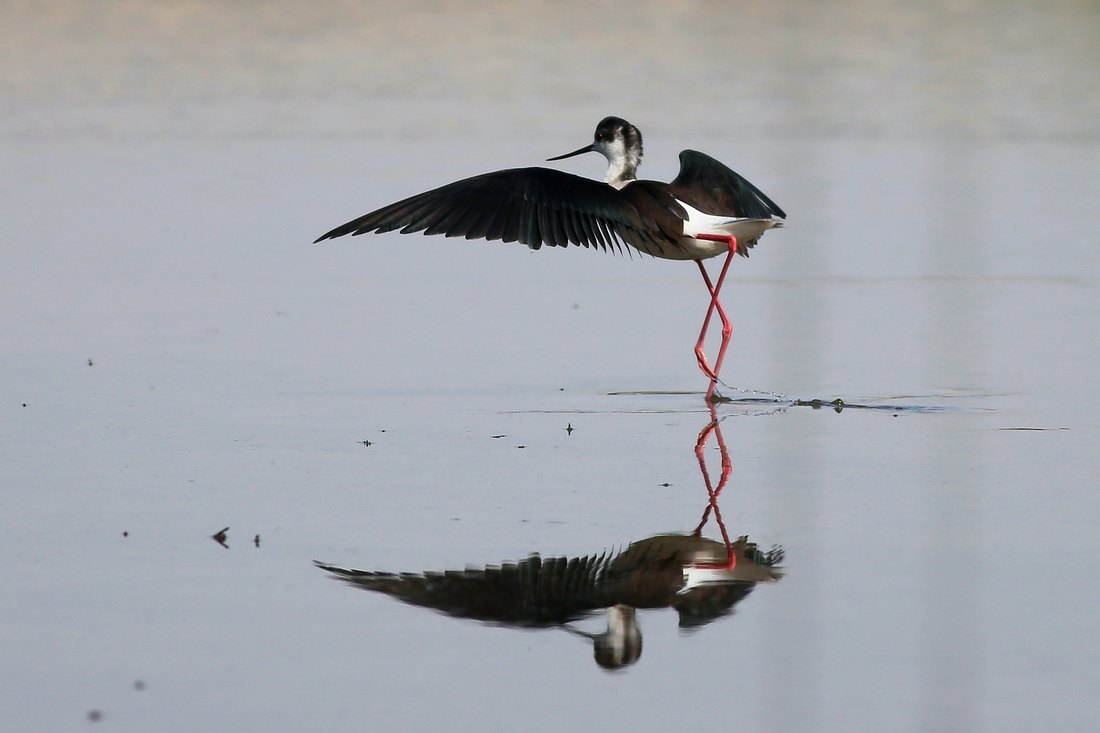 佳能7D2星空(中国)四月份好片共享