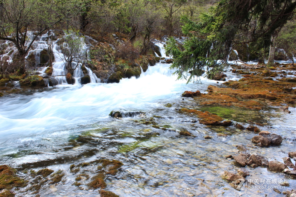 枯水期游览九寨沟 脱离组织久了很对不起⑤叶、药师等指导和关心我的朋友 请见谅