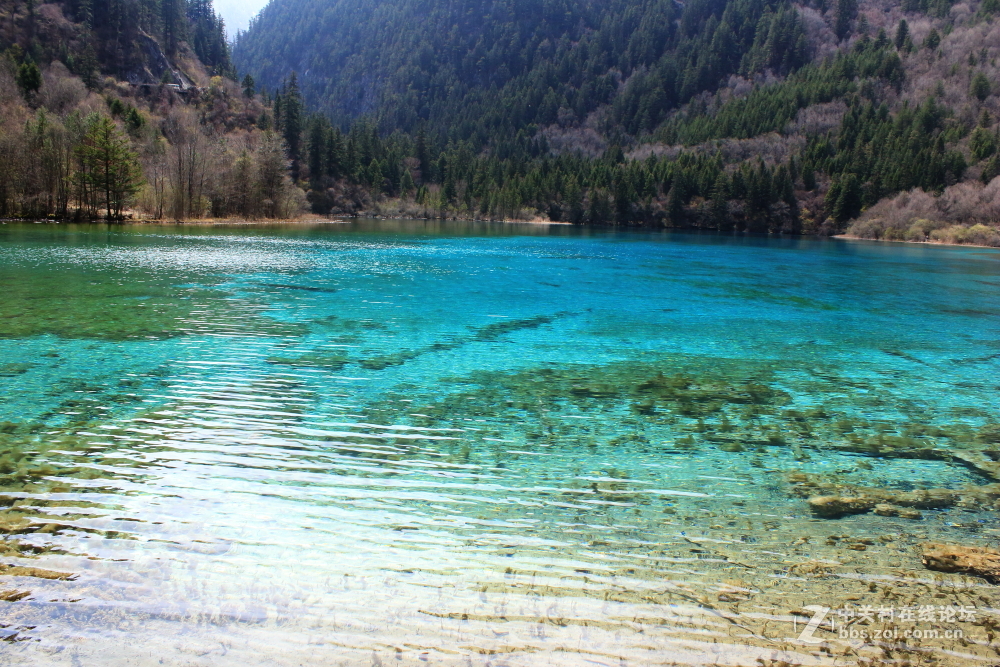 枯水期游览九寨沟 脱离组织久了很对不起⑤叶、药师等指导和关心我的朋友 请见谅