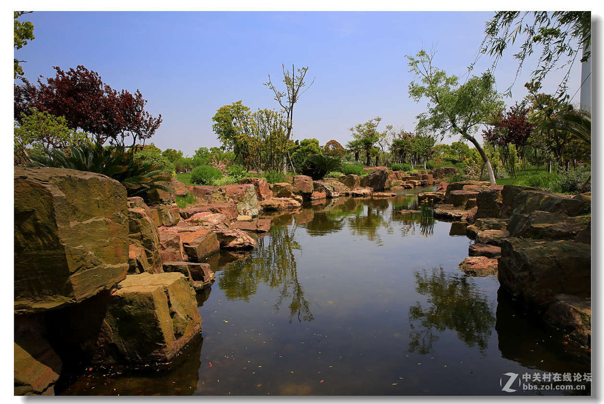 奉贤海湾园随拍3