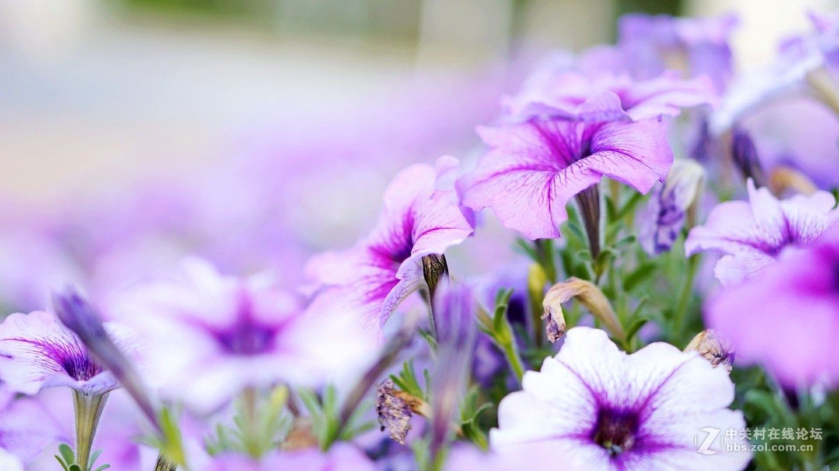 唤醒5R.............