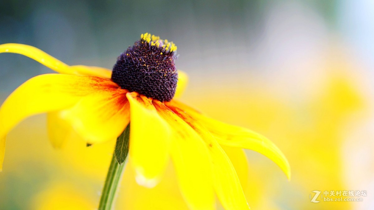 唤醒5R.............