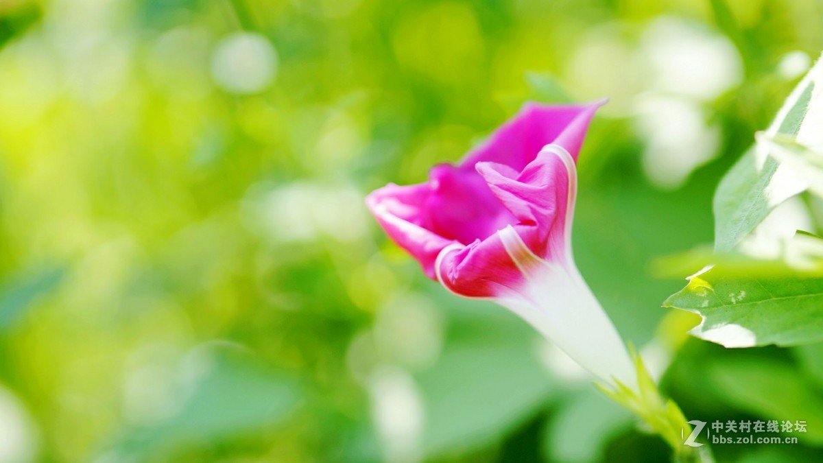 唤醒5R.............