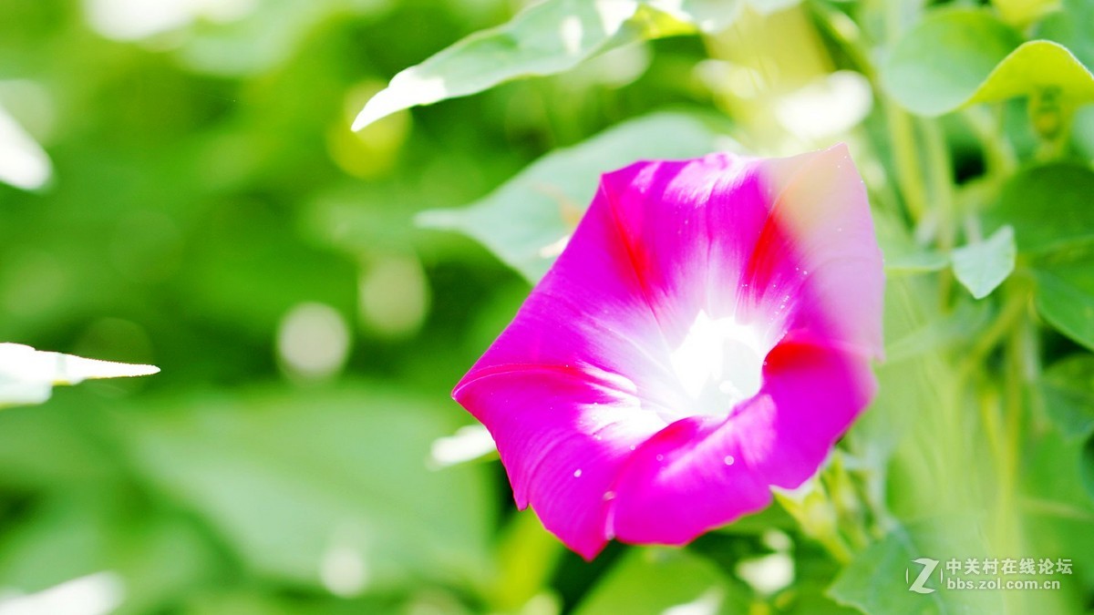 唤醒5R.............