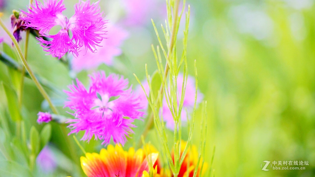 唤醒5R.............