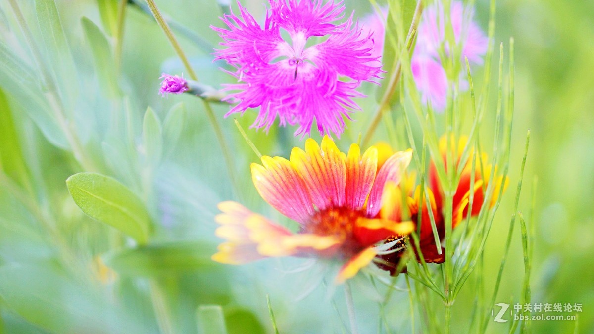 唤醒5R.............