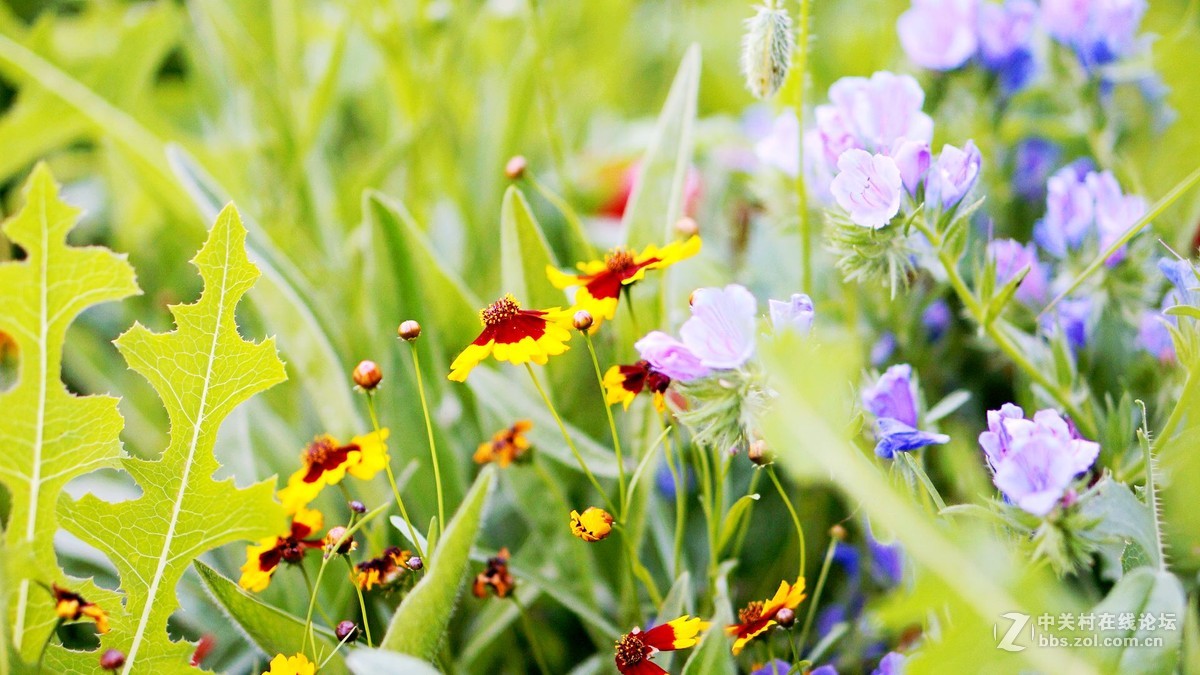 唤醒5R.............