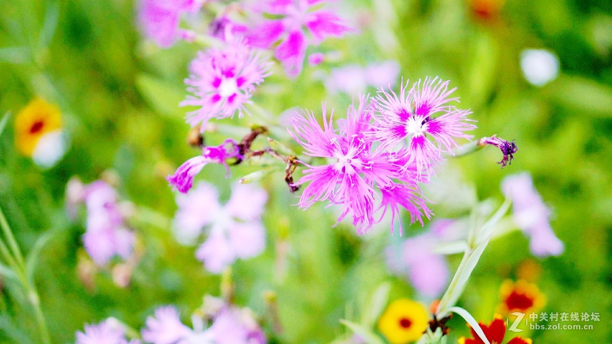 唤醒5R.............