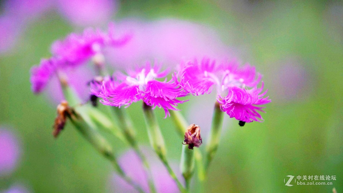 唤醒5R.............