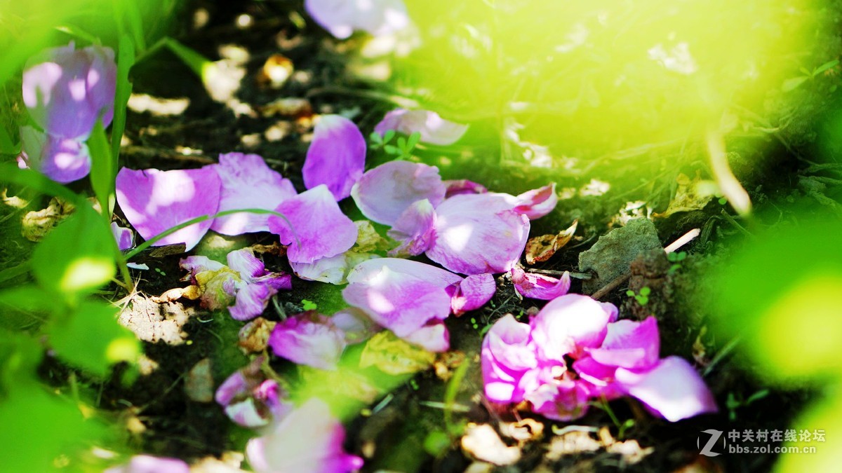 唤醒5R.............