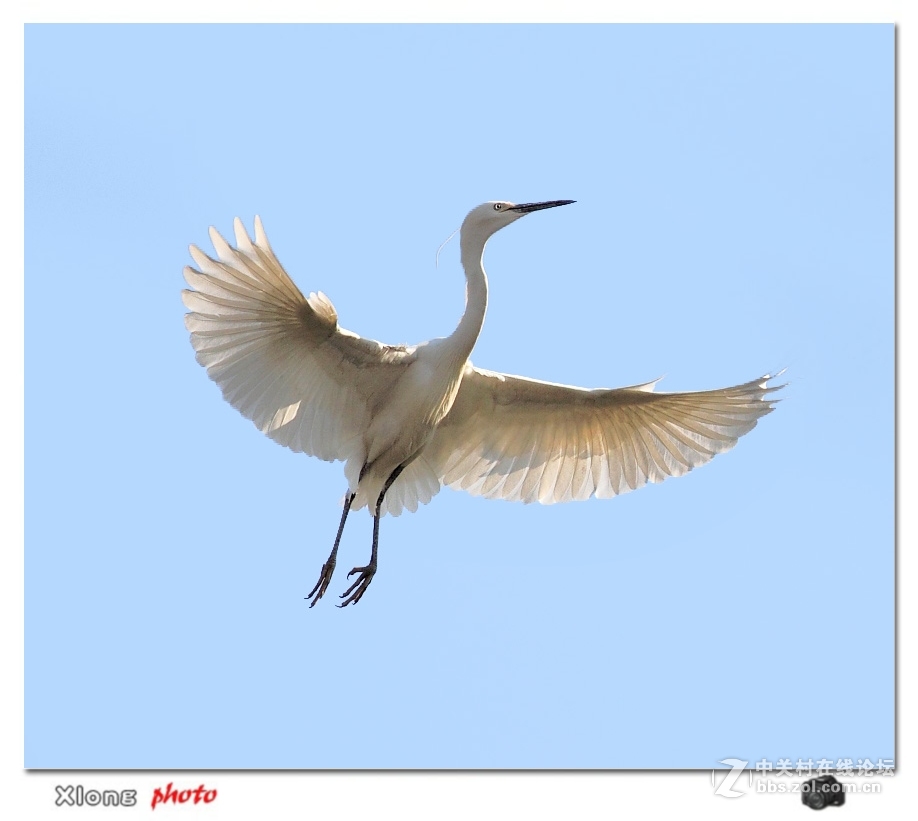 佳能7D2星空(中国)四月份好片共享