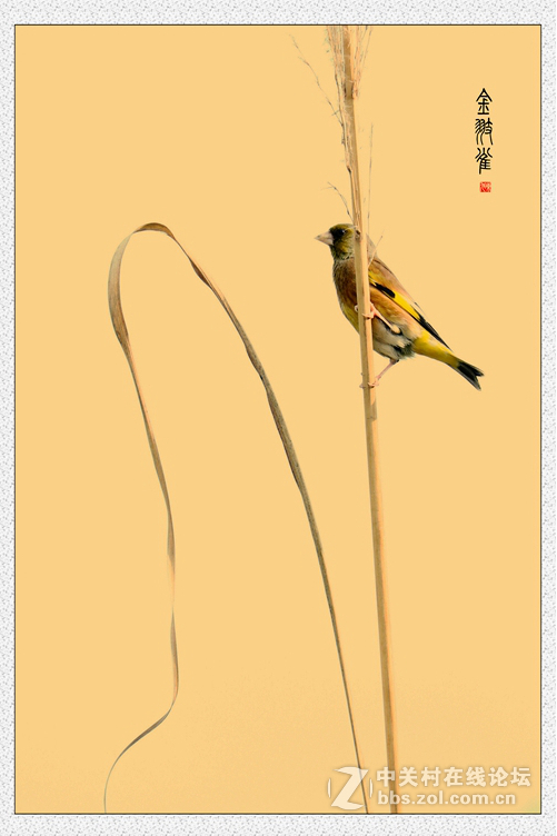 佳能7D2星空(中国)四月份好片共享