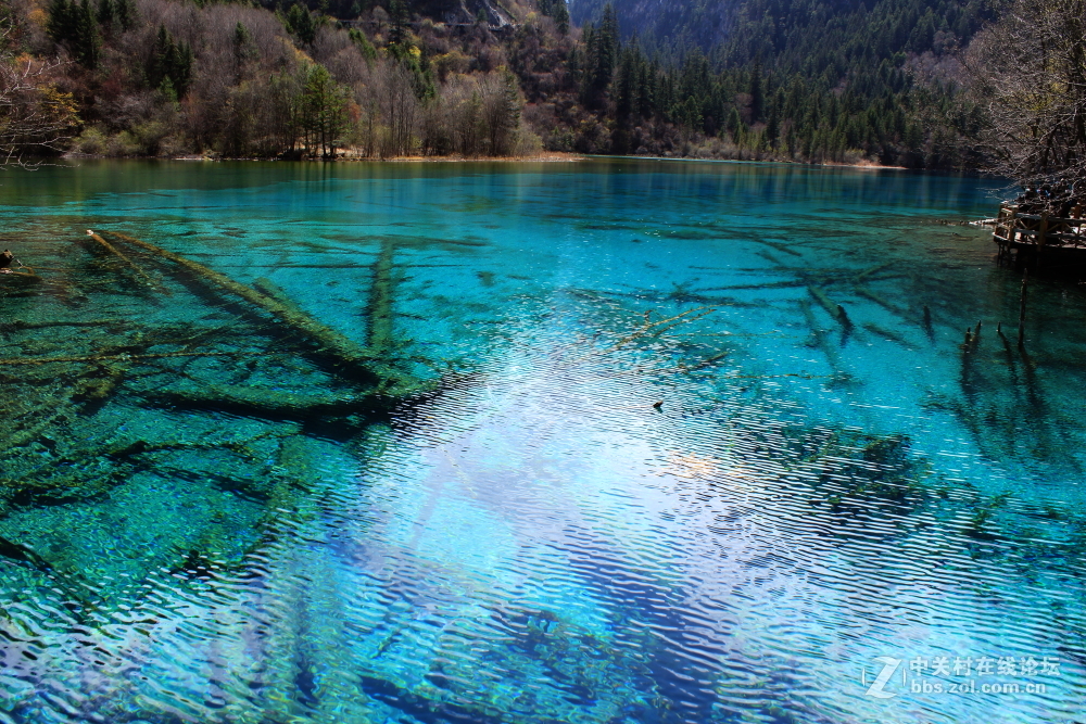 枯水期游览九寨沟 脱离组织久了很对不起⑤叶、药师等指导和关心我的朋友 请见谅