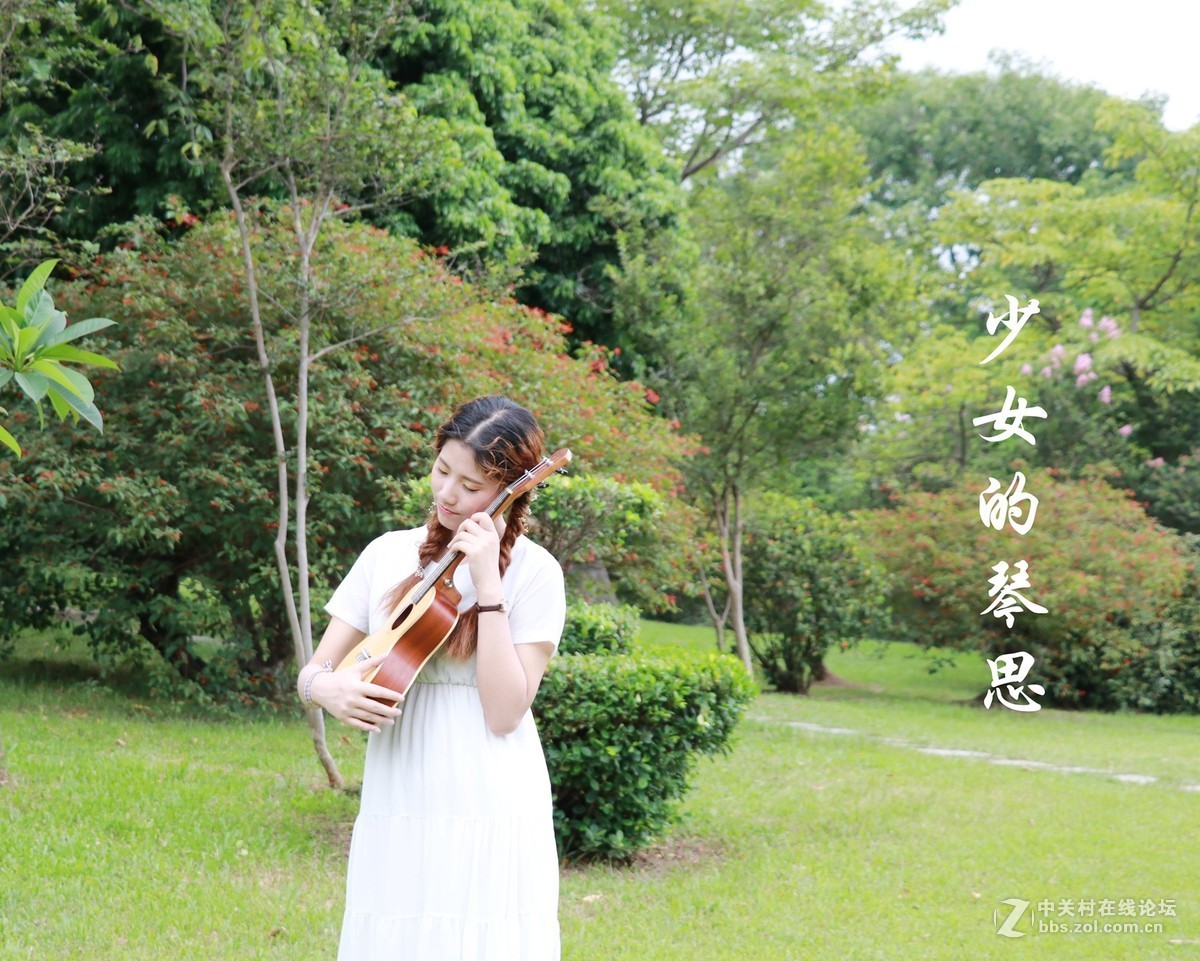 少女的琴思 ( 上 )