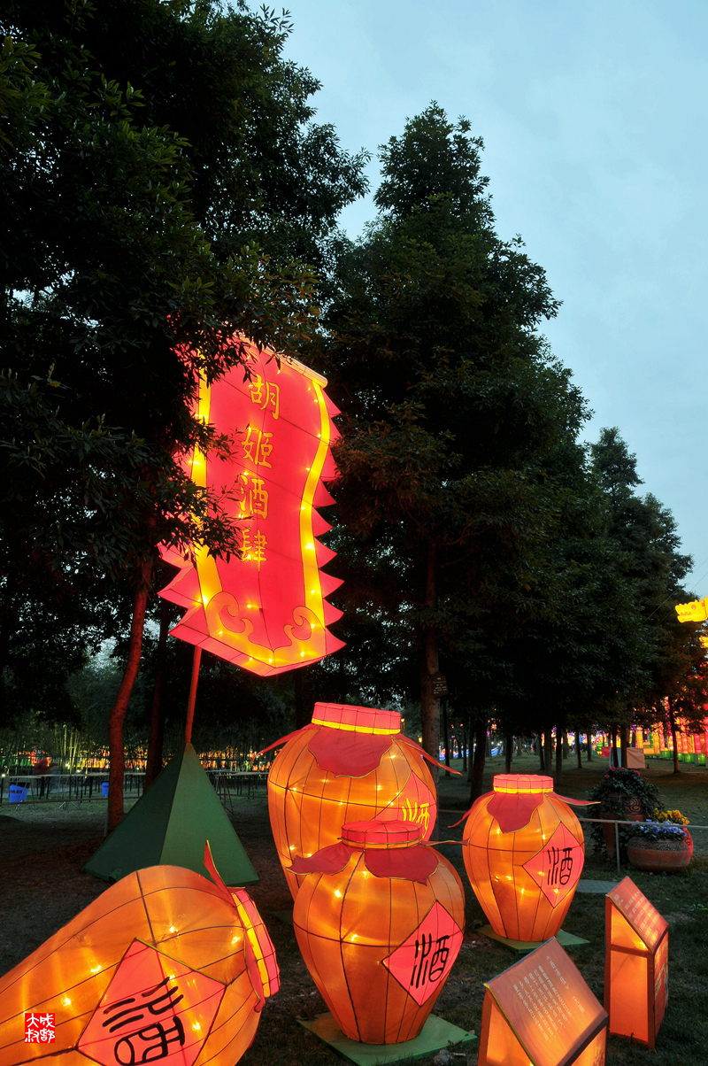 2015成都金沙太阳节（3）