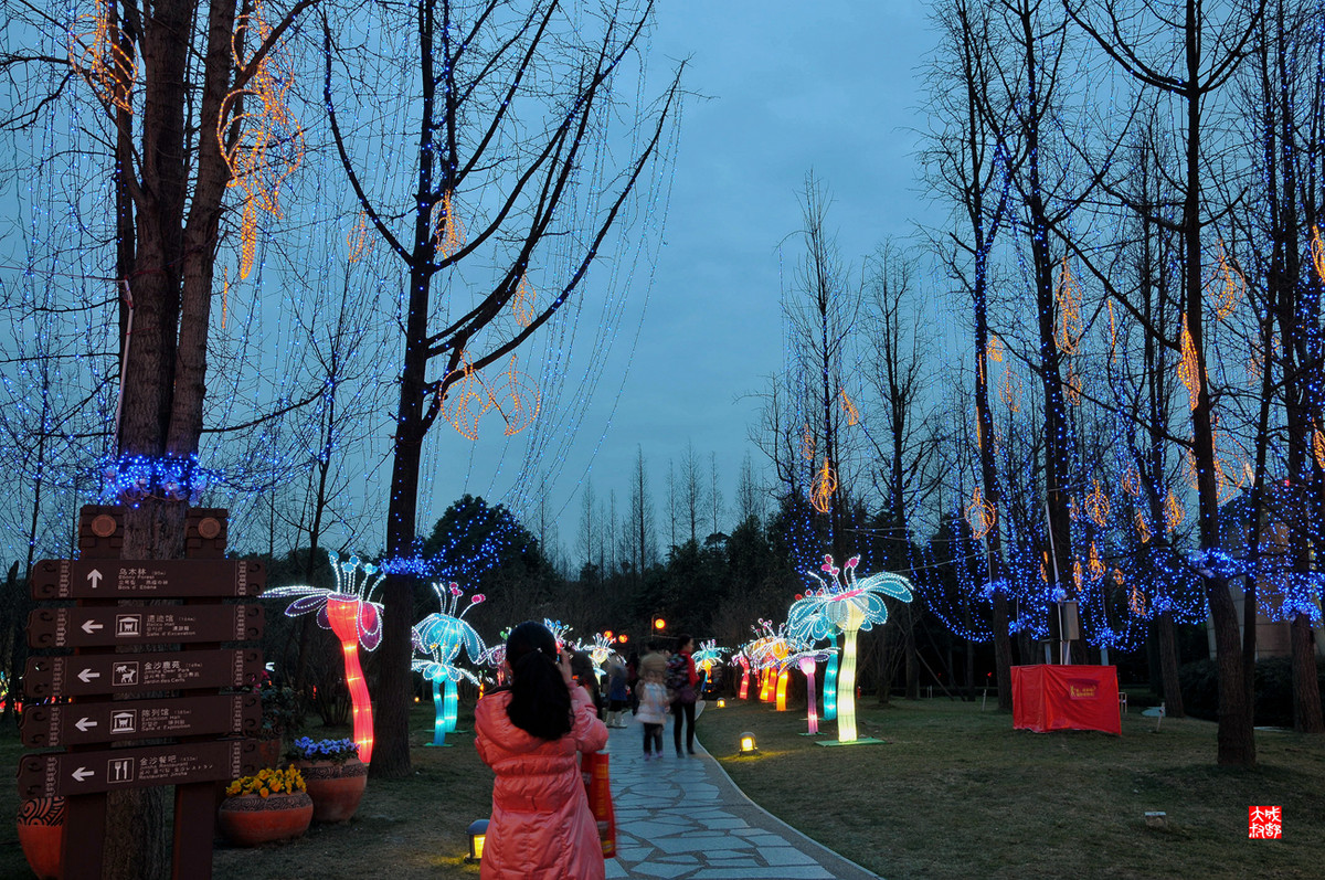 2015成都金沙太阳节（3）