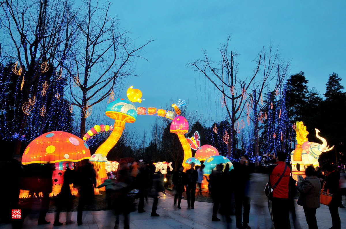 2015成都金沙太阳节（3）