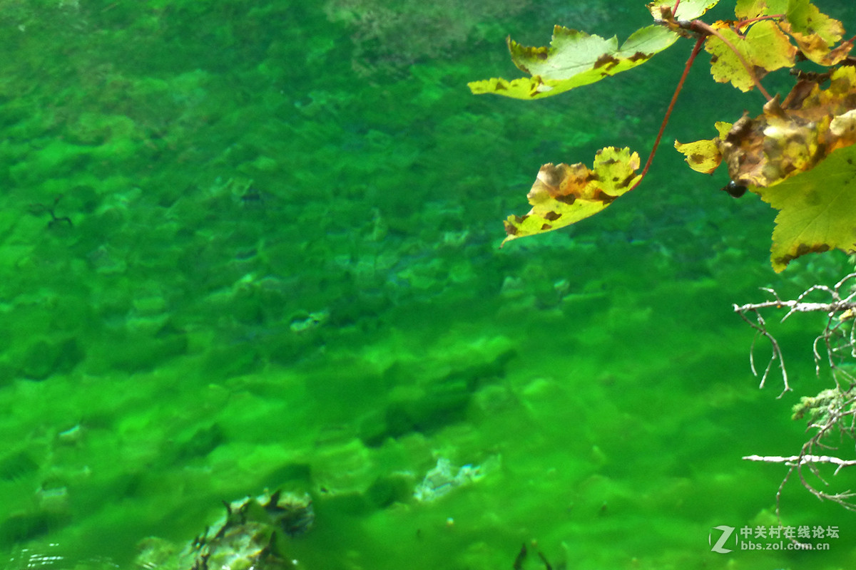 山水篇——牟泥沟