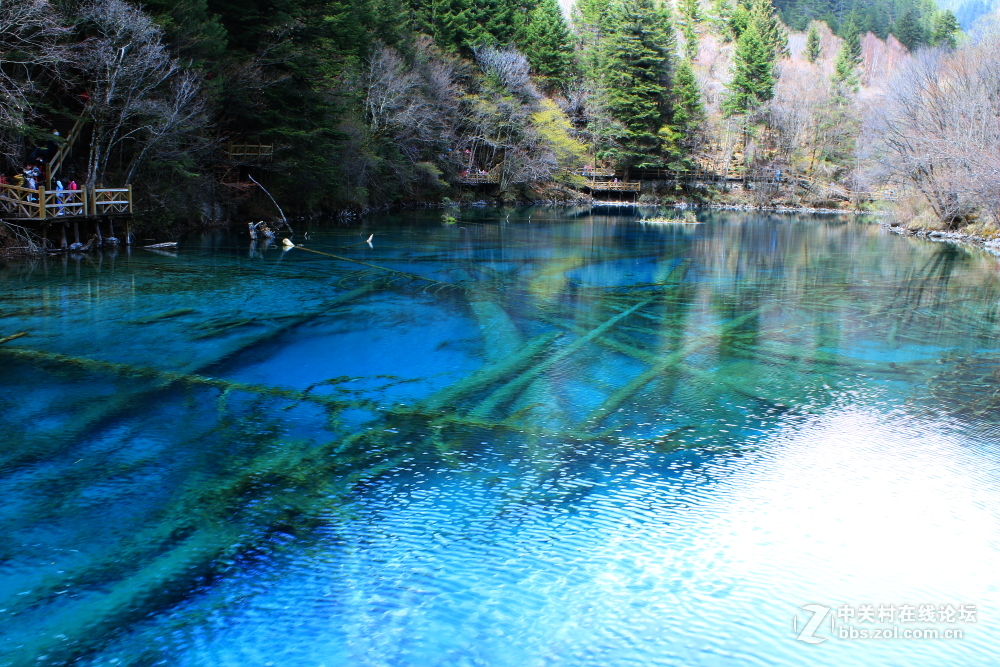 枯水期游览九寨沟 脱离组织久了很对不起⑤叶、药师等指导和关心我的朋友 请见谅