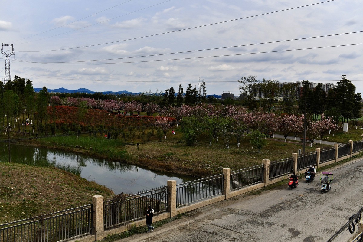 2020-3-29-青白江凤凰湖