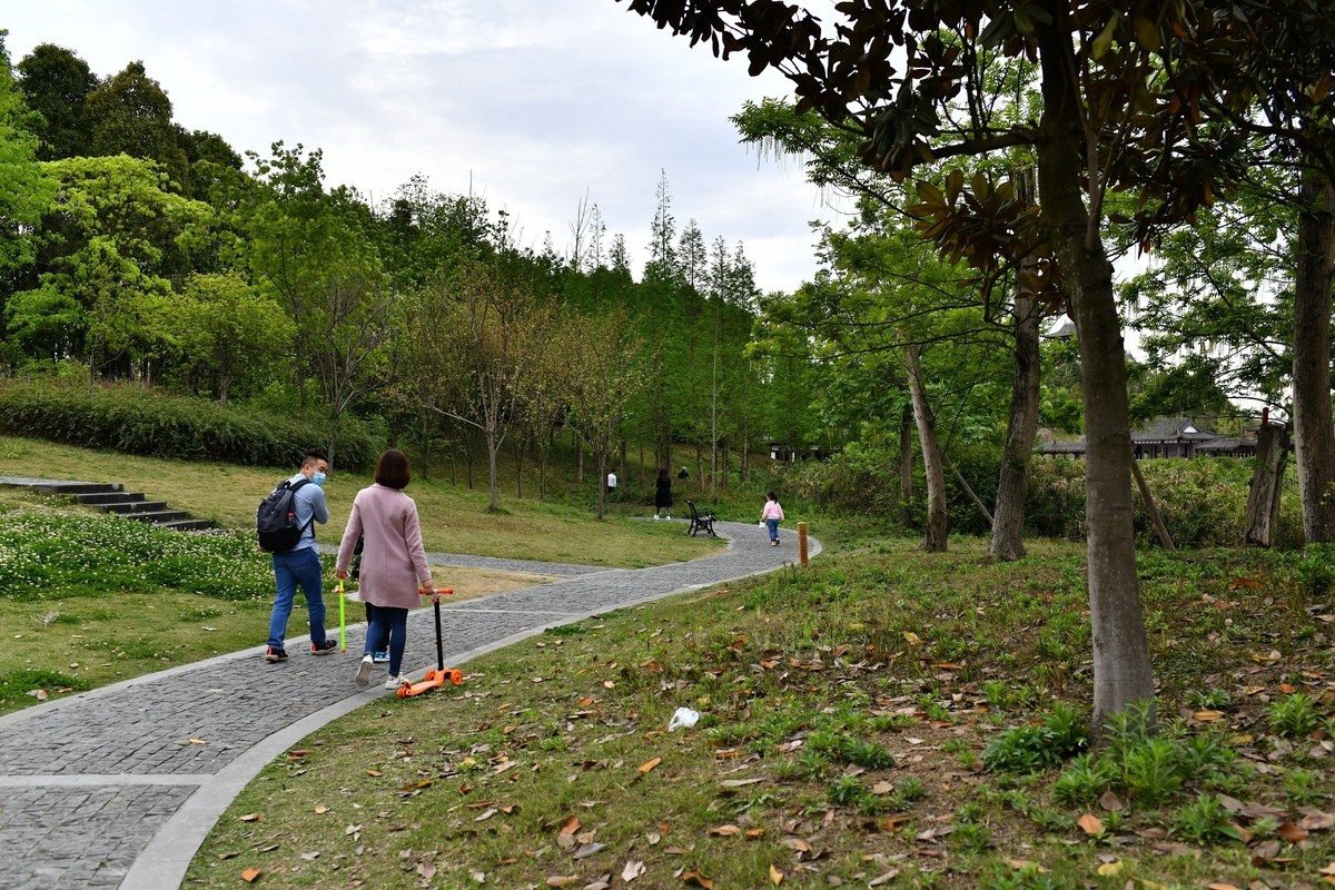 2020-3-29-青白江凤凰湖