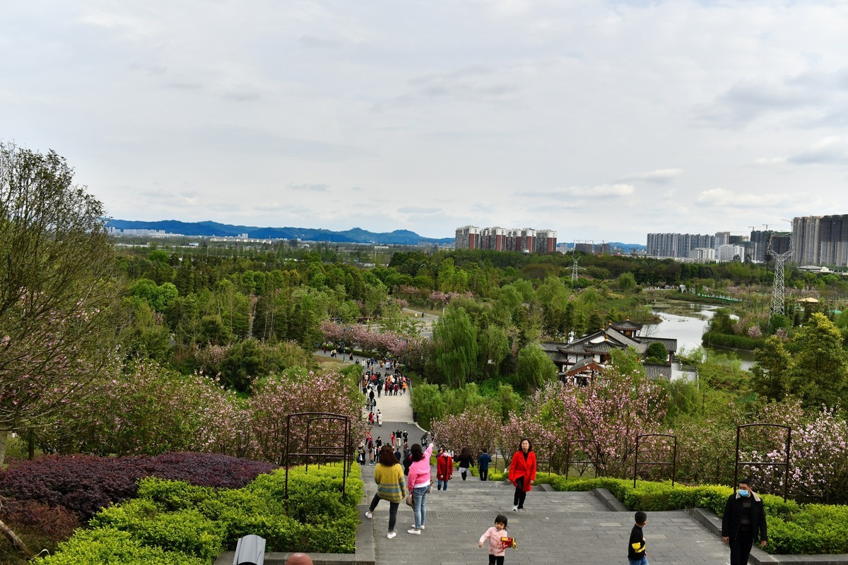 2020-3-29-青白江凤凰湖