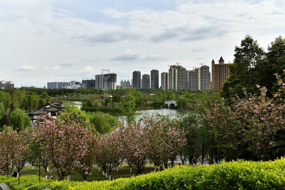 2020-3-29-青白江凤凰湖