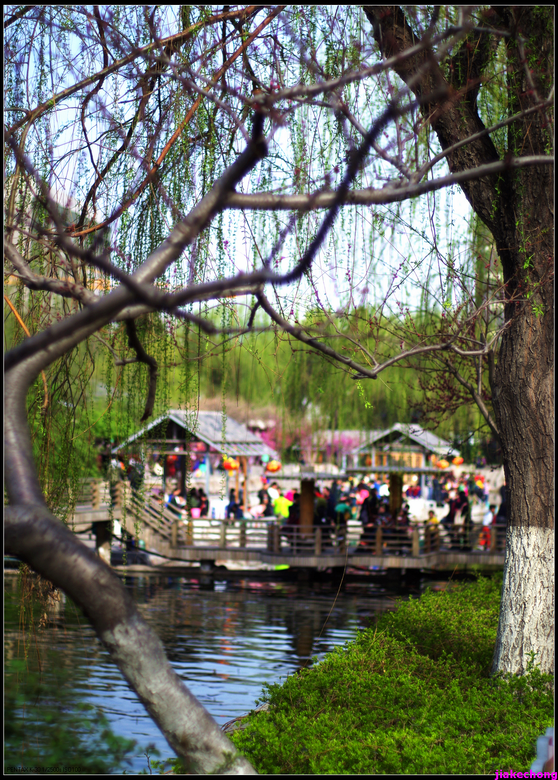 一组小品贺师友雲龍观海任运动生活版主！！！