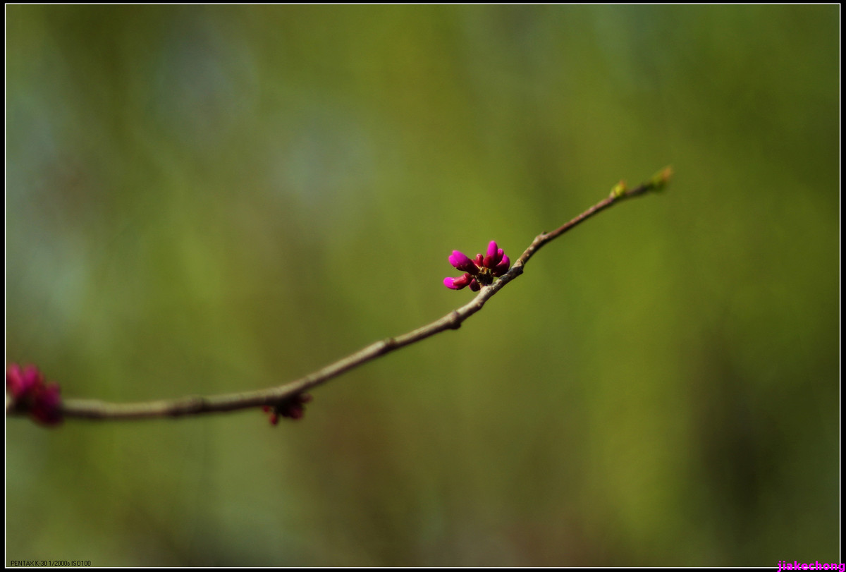一组小品贺师友雲龍观海任运动生活版主！！！